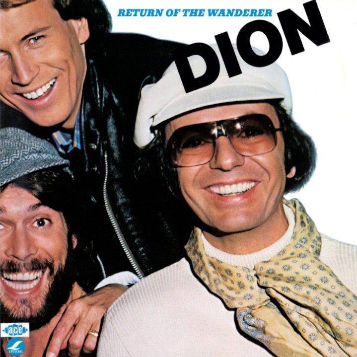 Cover image for Return of the Wanderer