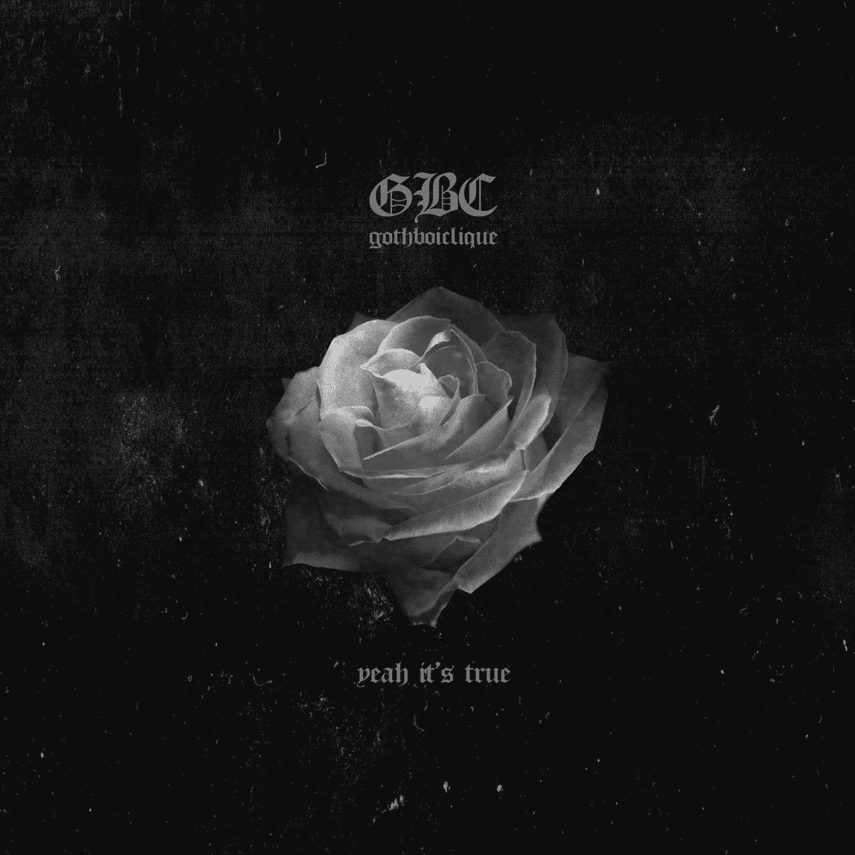 Cover image for Yeah It’s True (Vinyl Deluxe)
