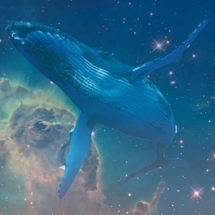Album cover art for "Loneliest Whale" by Lionize