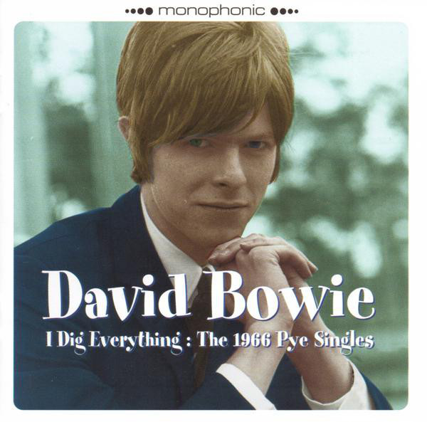 Cover image for I Dig Everything: The 1966 Pye Singles