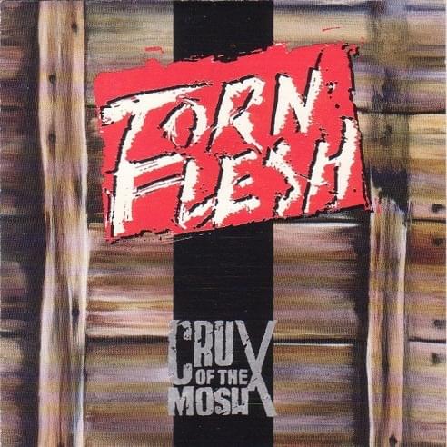 Gay Rights? by Torn Flesh