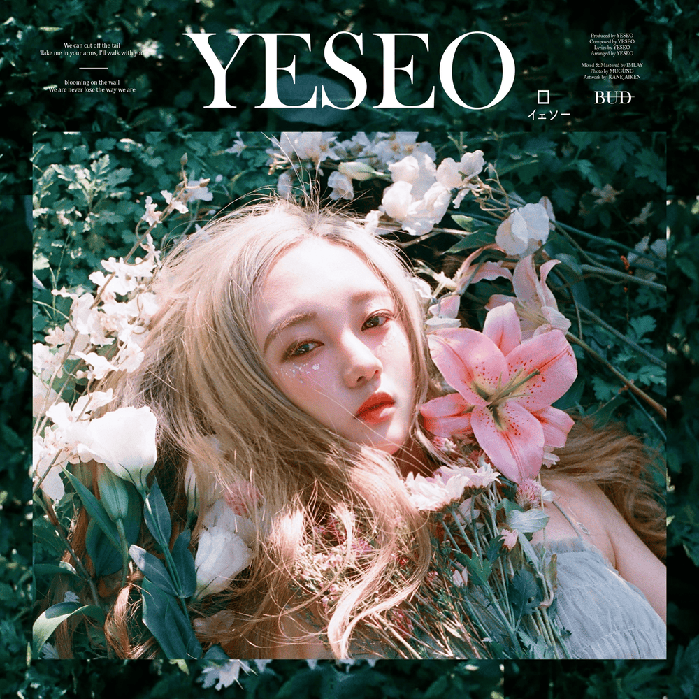 Cover image for Bud