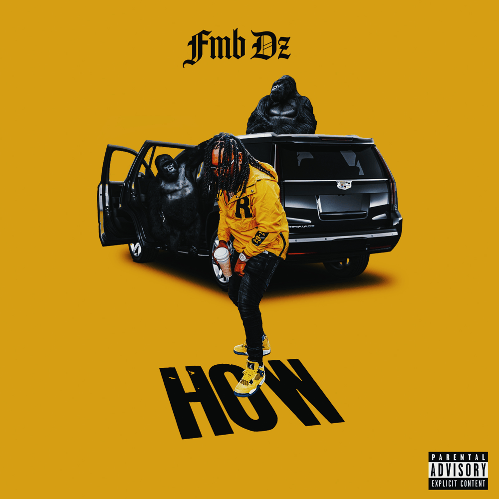 Album cover art for "How" by FMB DZ
