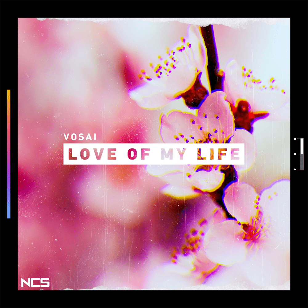 Album cover art for "Love of My Life" by Vosai