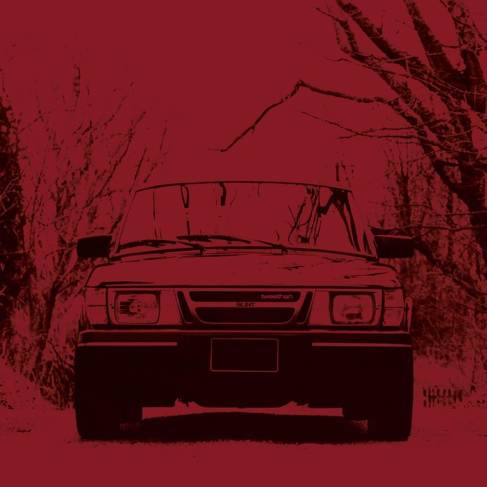 Album cover art for "Hippie Chick (tweethan mix)" by Slint