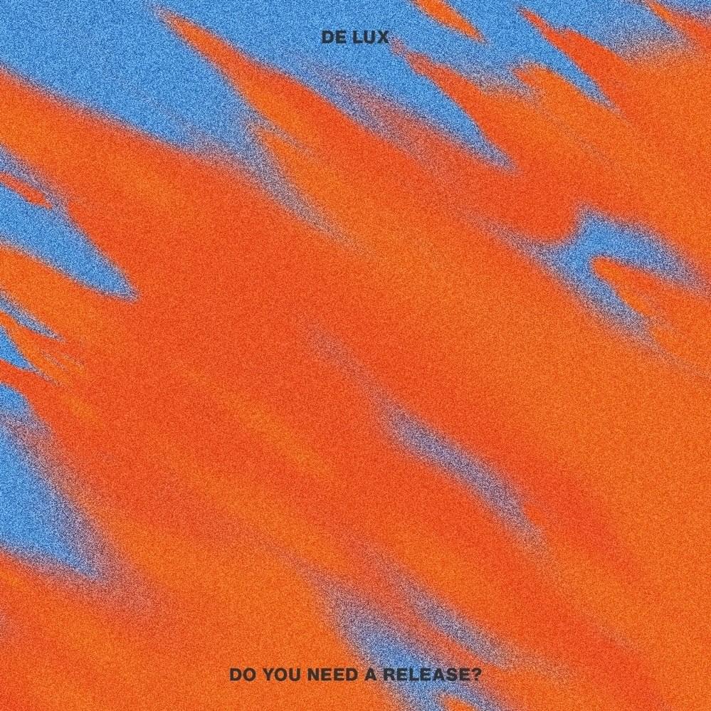 Cover image for Do You Need a Release?
