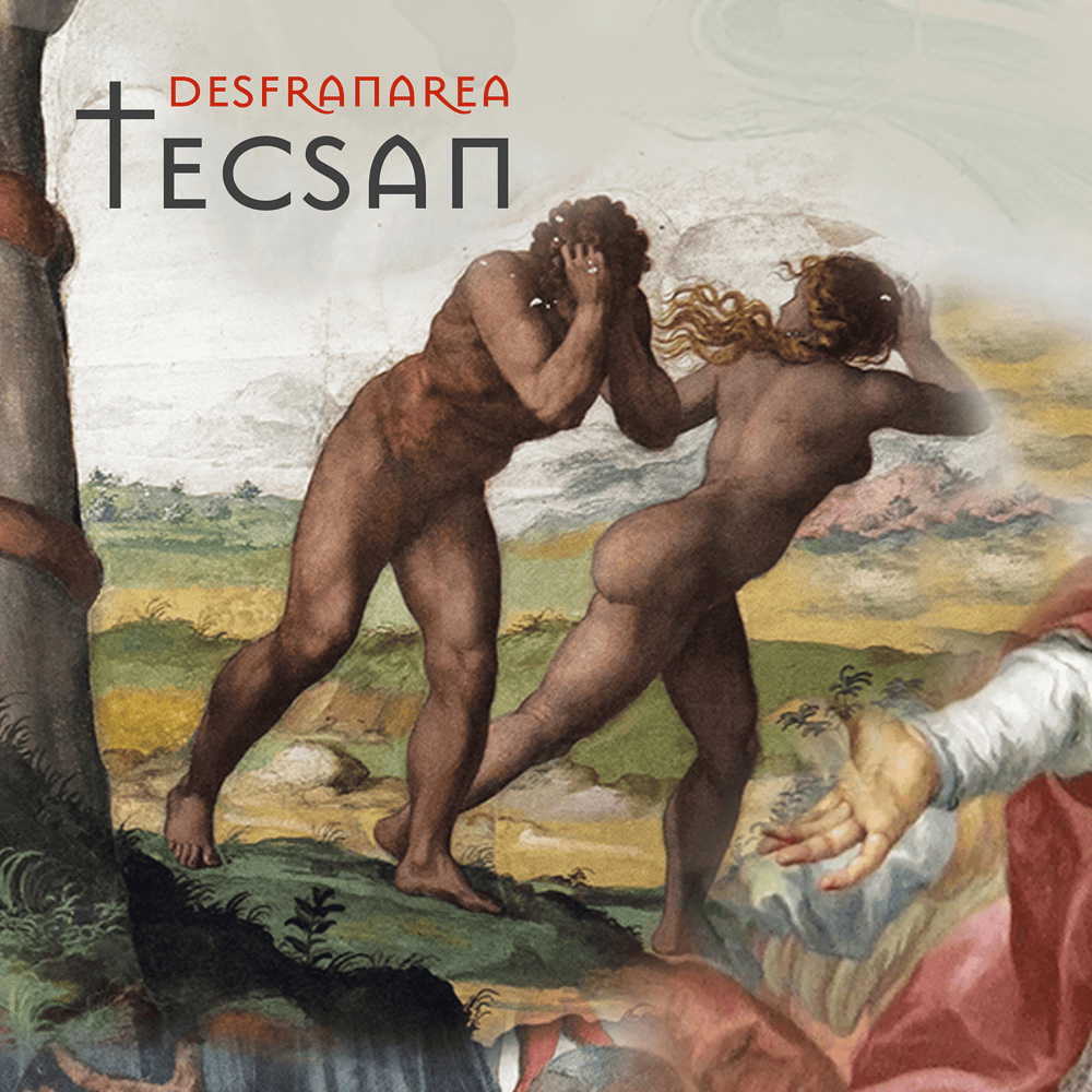Album cover art for "Desfr�narea" by Tecsan