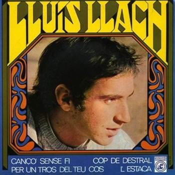 Cover image for Cop de destral