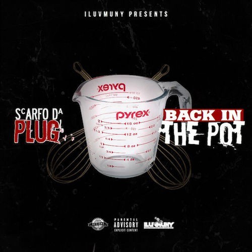 Cover image for Back in the Pot
