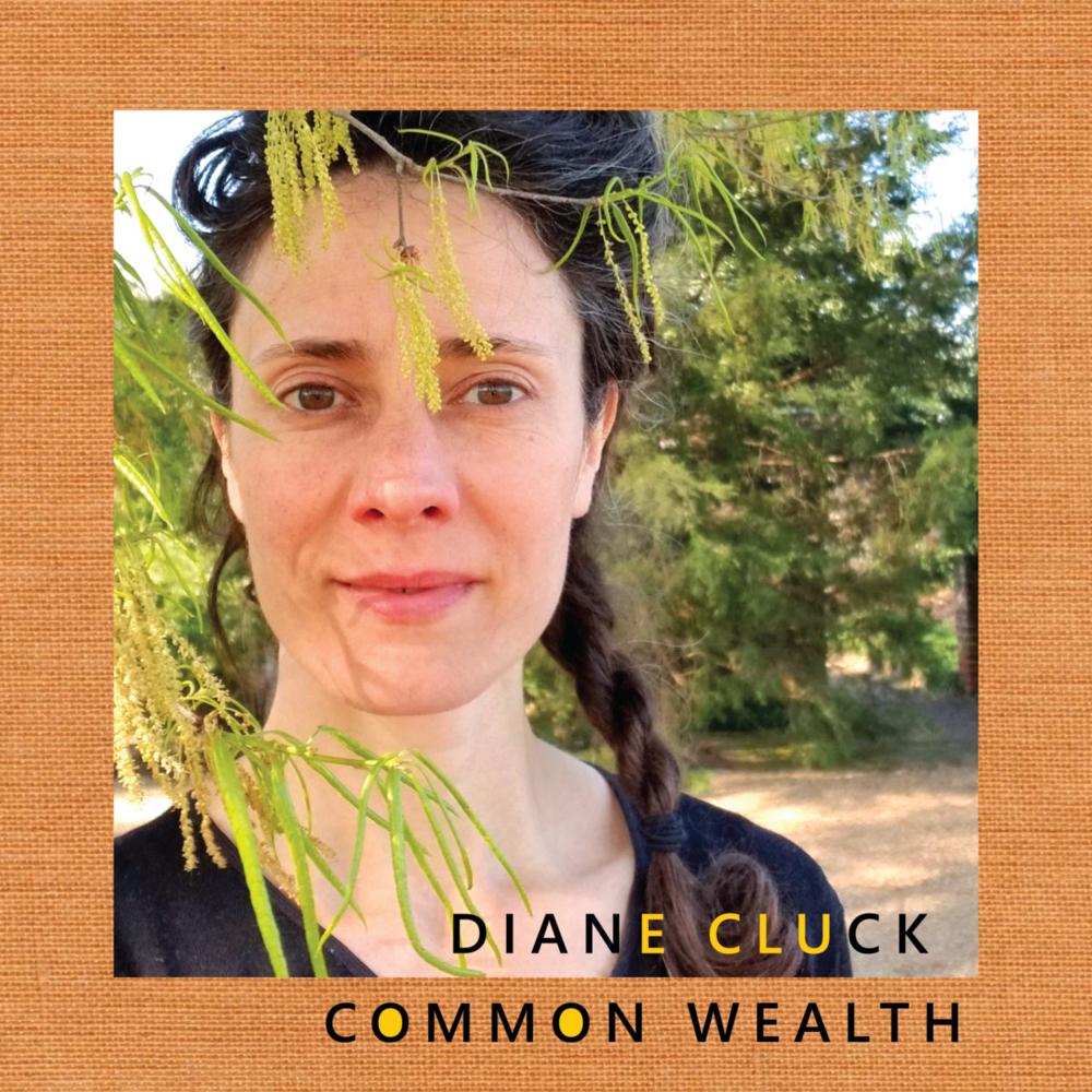 Lie Quiet With Me by Diane Cluck