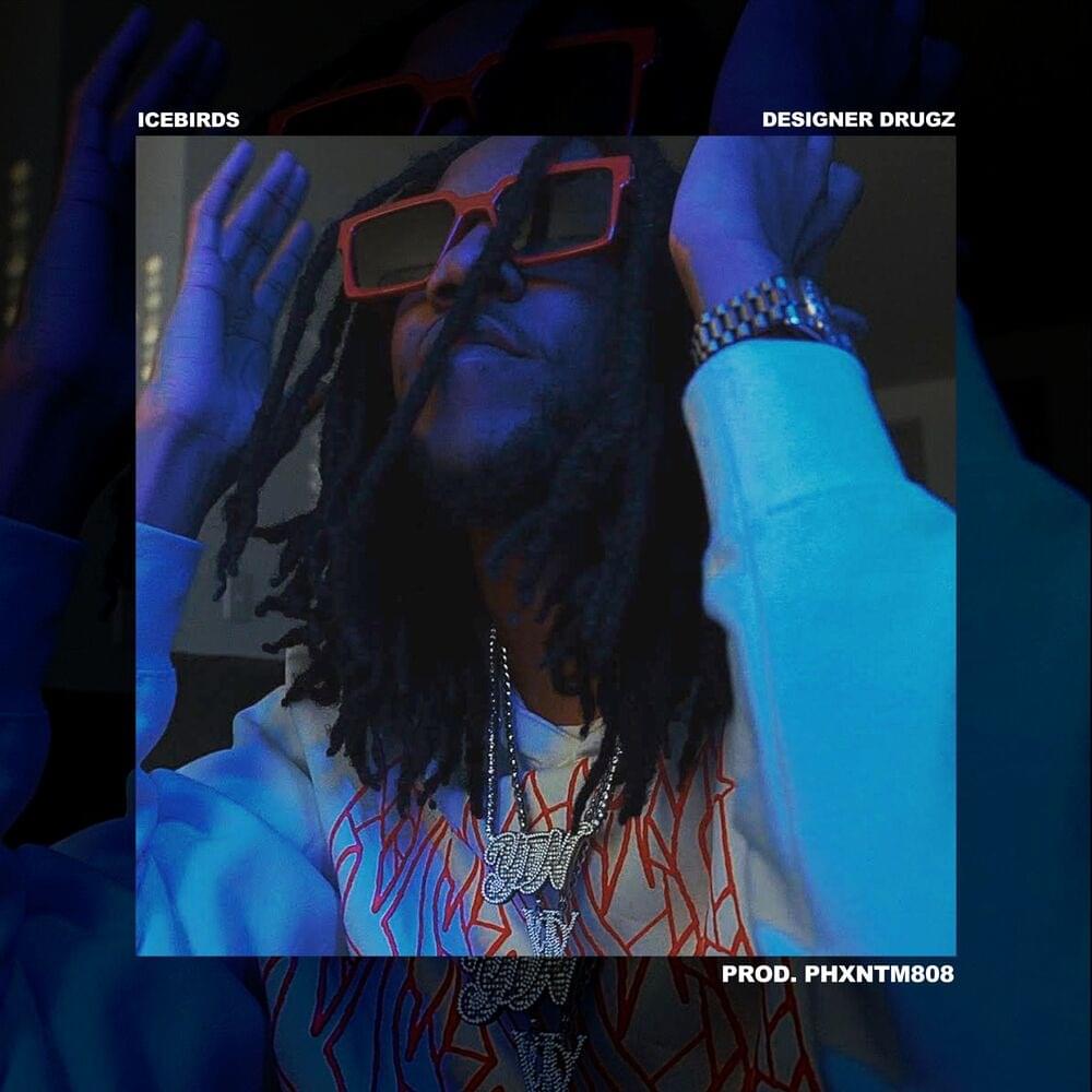 Album cover art for "Designer Drugz" by IceBirds