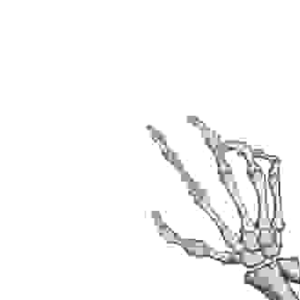 ​rot by torr