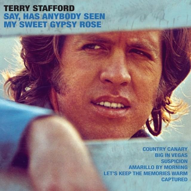 Album cover art for "Suspicion" by Terry Stafford