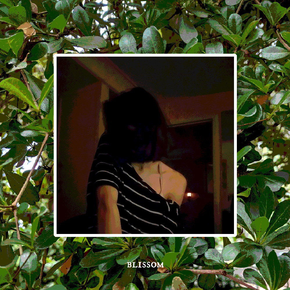 Cover image for several misconceptions