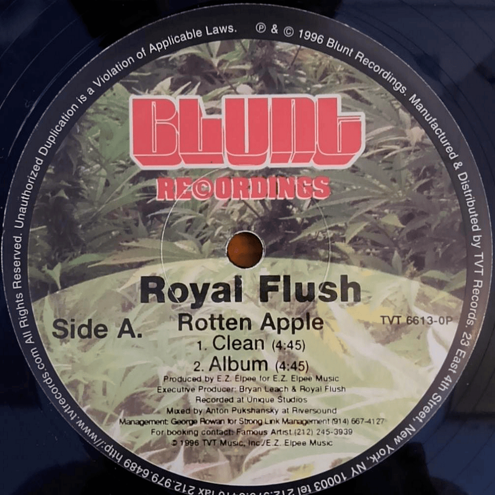 Cover image for Rotten Apple