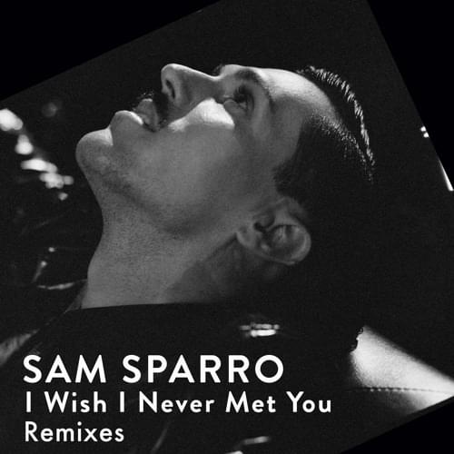 Album cover art for "I Wish I Never Met You – Stereogamous Remix" by Sam Sparro