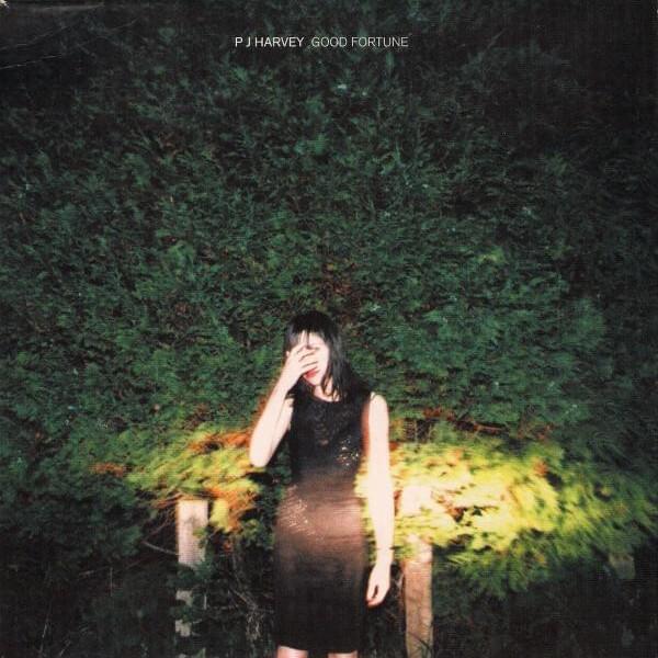 Album cover art for "30" by PJ Harvey