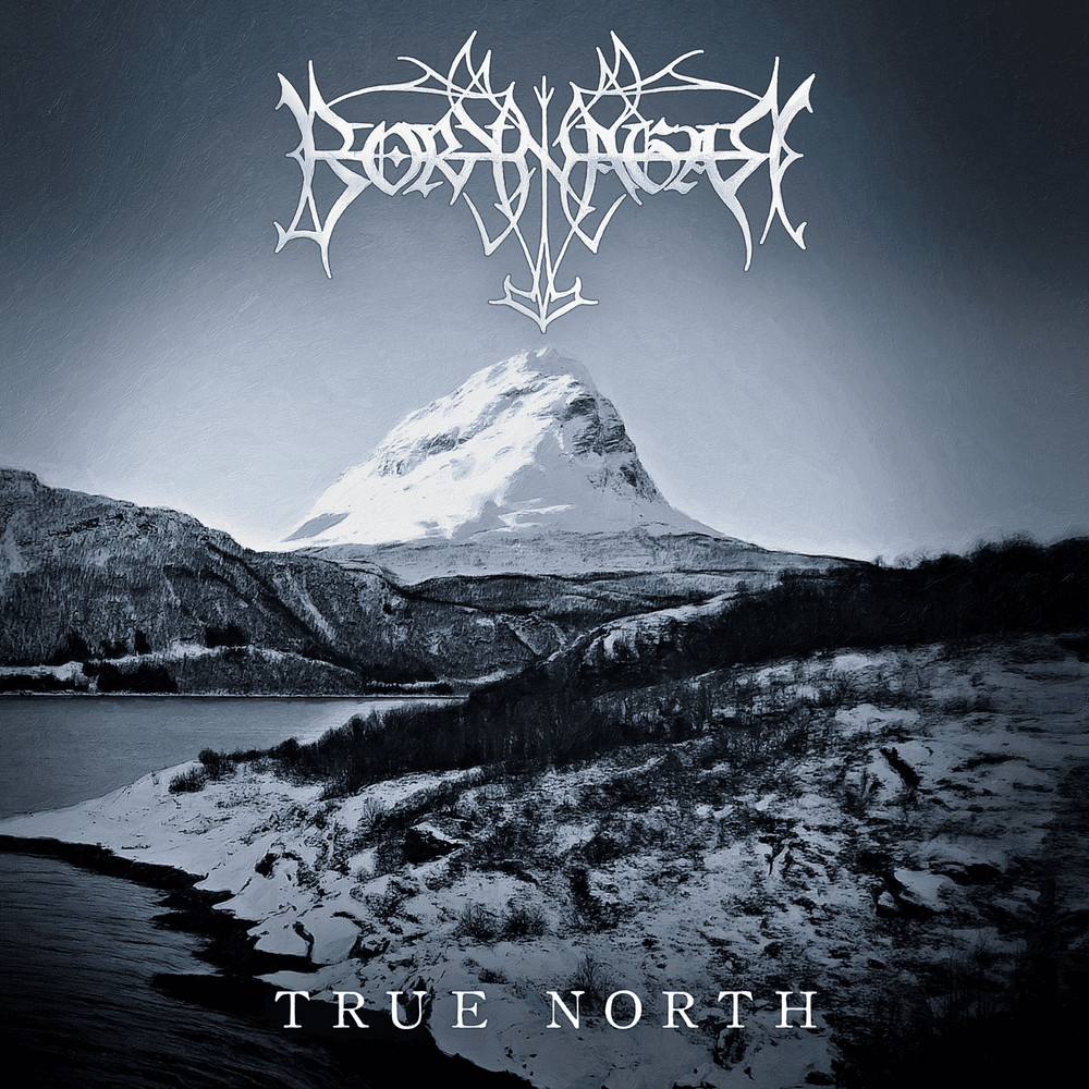 Up North by Borknagar
