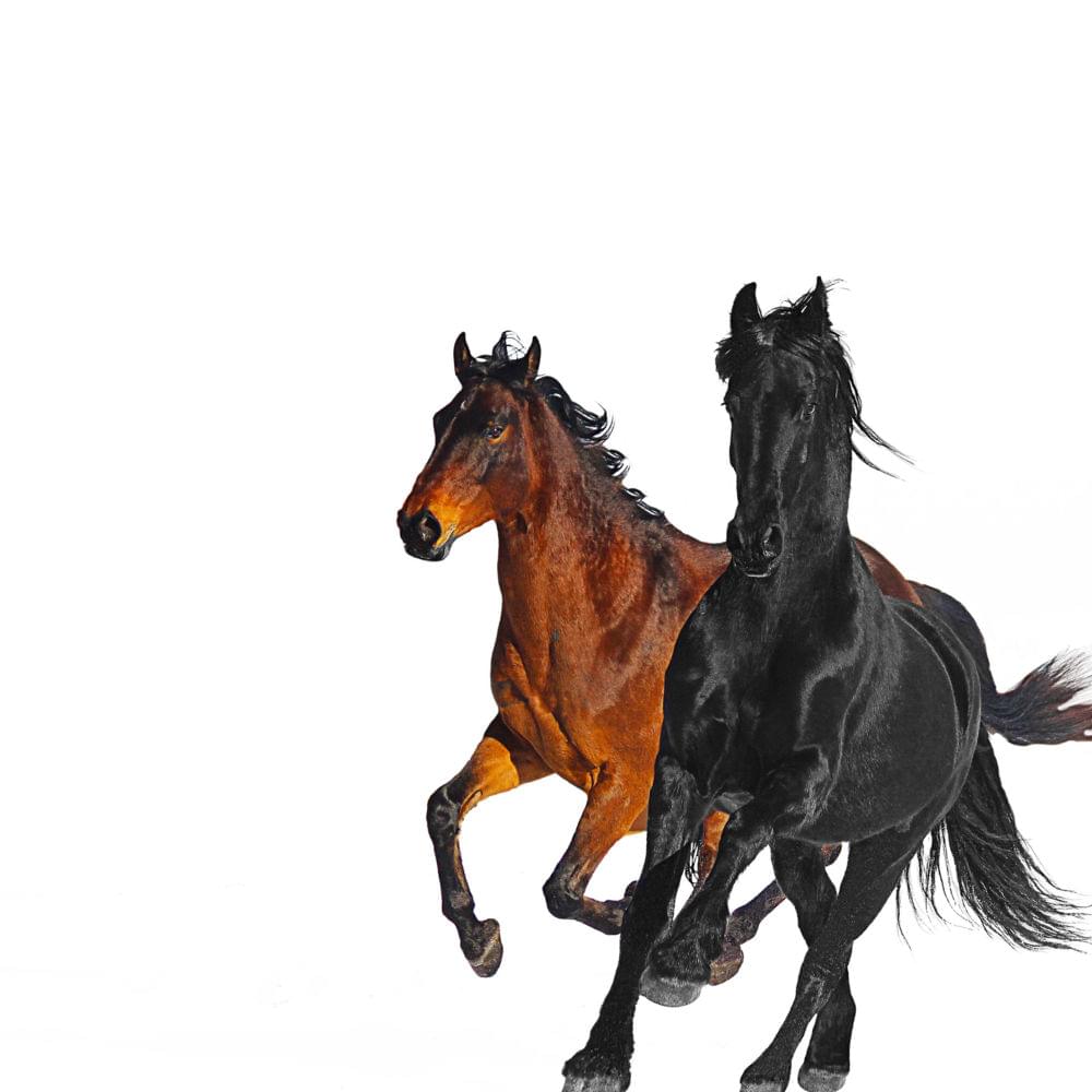 Album cover art for "Lil Nas X - Old Town Road (Remix) ft. Billy Ray Cyrus (Traducción al Español)" by Genius Traducciones al Español