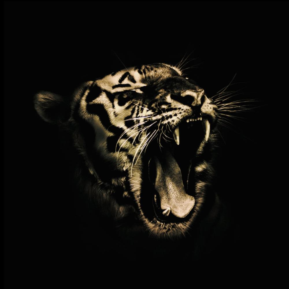 Waiting to Die by El Tigr3