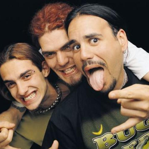Cover image for Animal