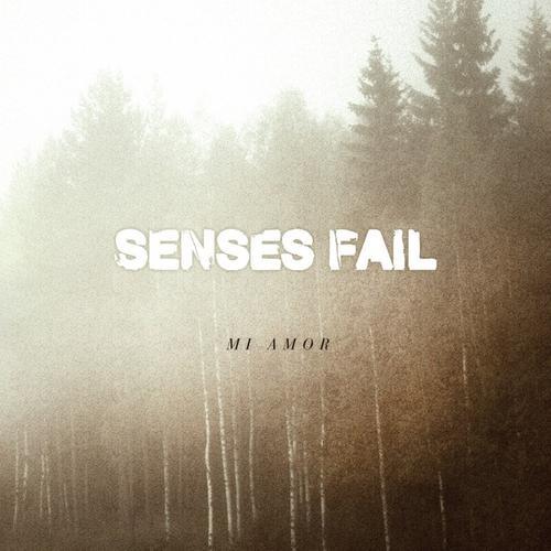 Album cover art for "Mi Amor" by Senses Fail