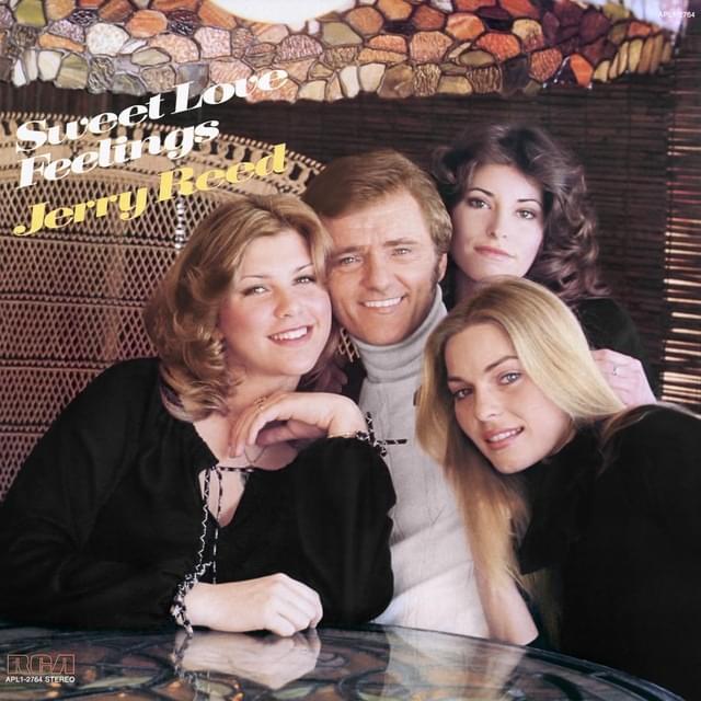 Album cover art for "You Know What" by Jerry Reed & Seidina Hubbard