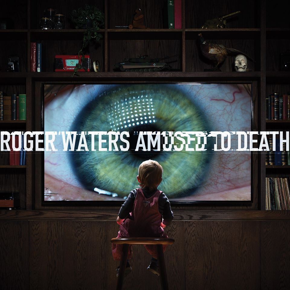 Cover image for Amused to Death
