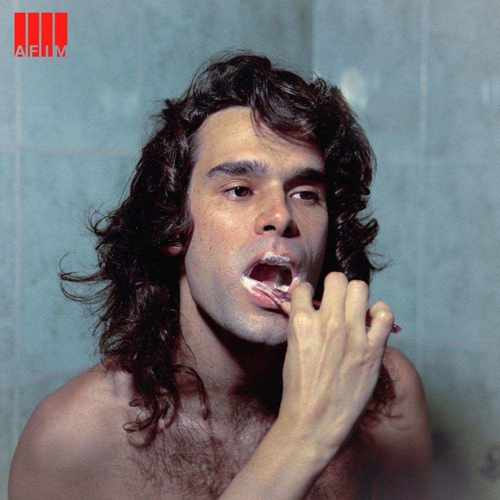 Cover image for Afim