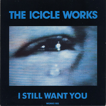 Album cover art for "I Still Want You" by The Icicle Works