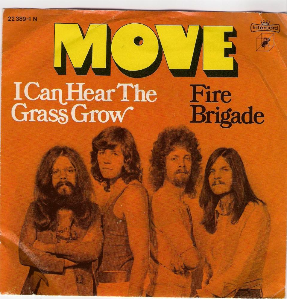 I Can Hear the Grass Grow by The Move
