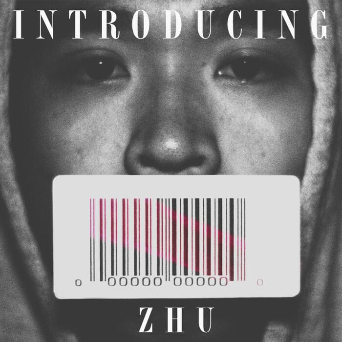 Cover image for Introducing ZHU