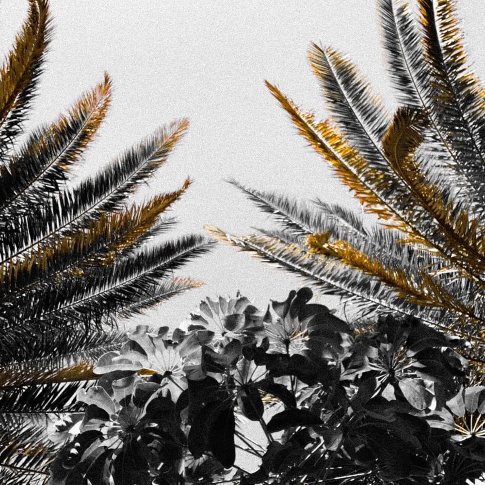 Cover image for Hojas Doradas