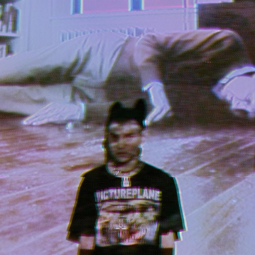 Album cover art for "Insects" by Mr.Kitty