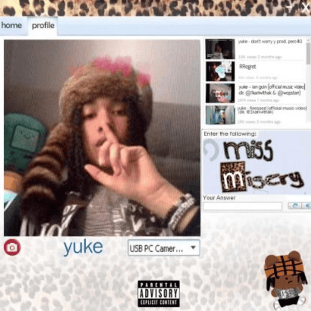 Cover image for Miss Misery