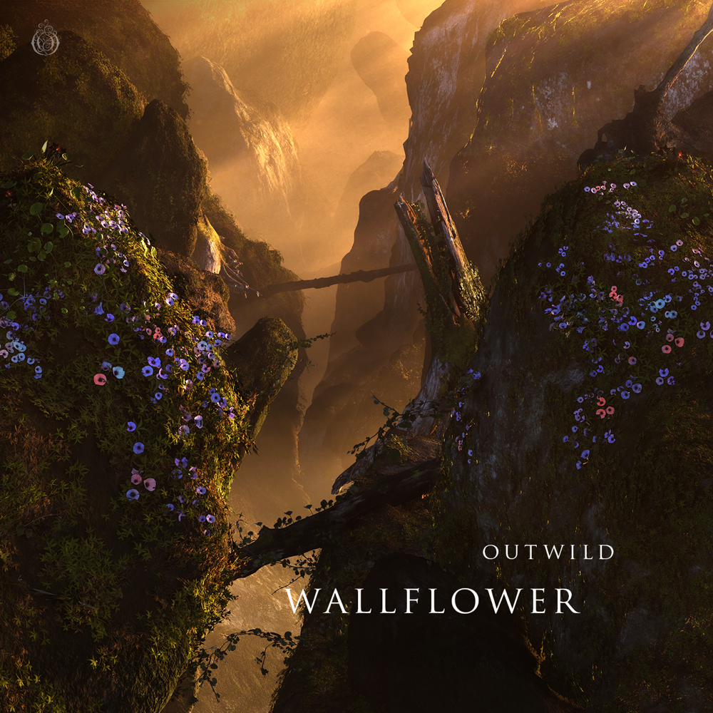 Cover image for Wallflower EP