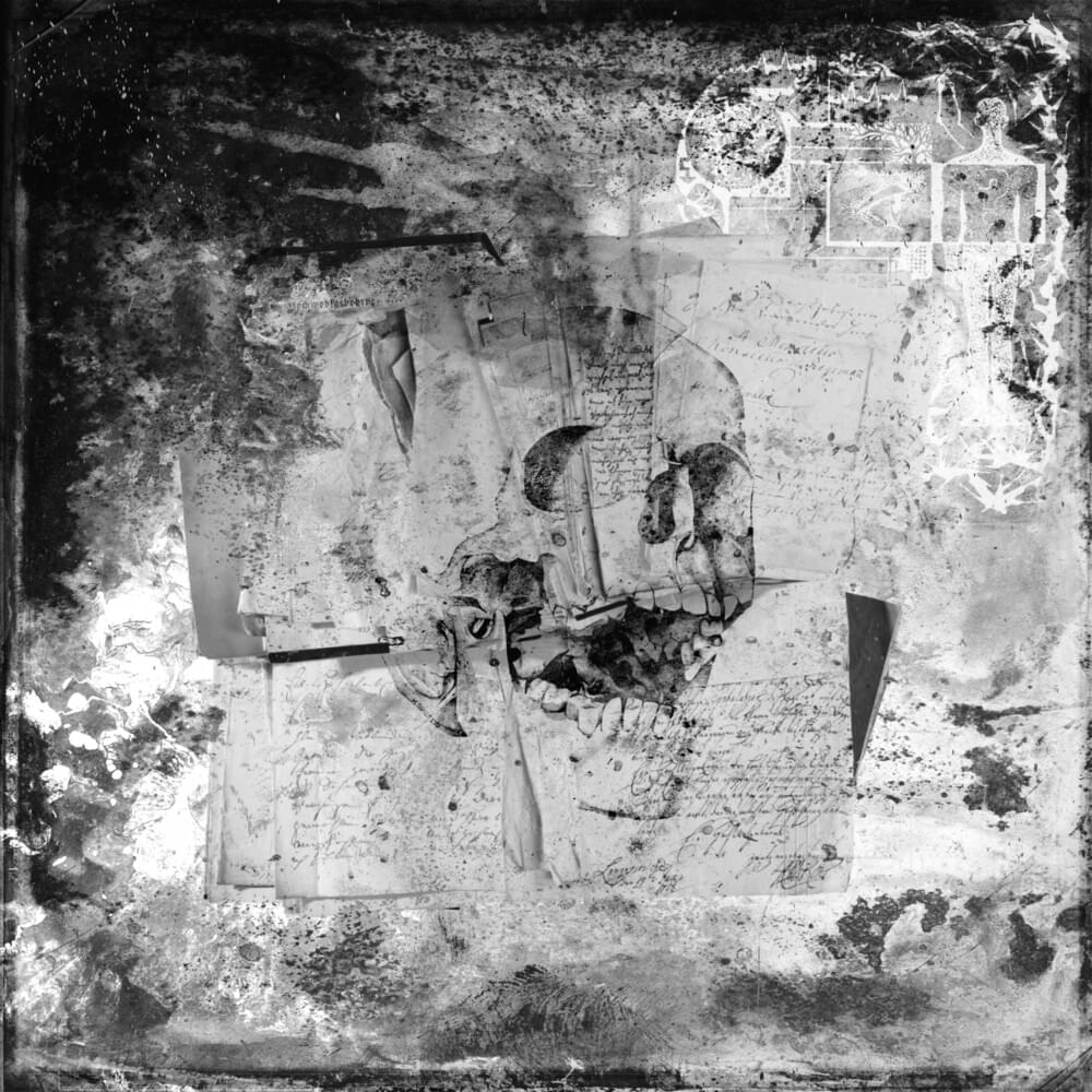 Cover image for Фальшивое завещание (YKZ1.7)