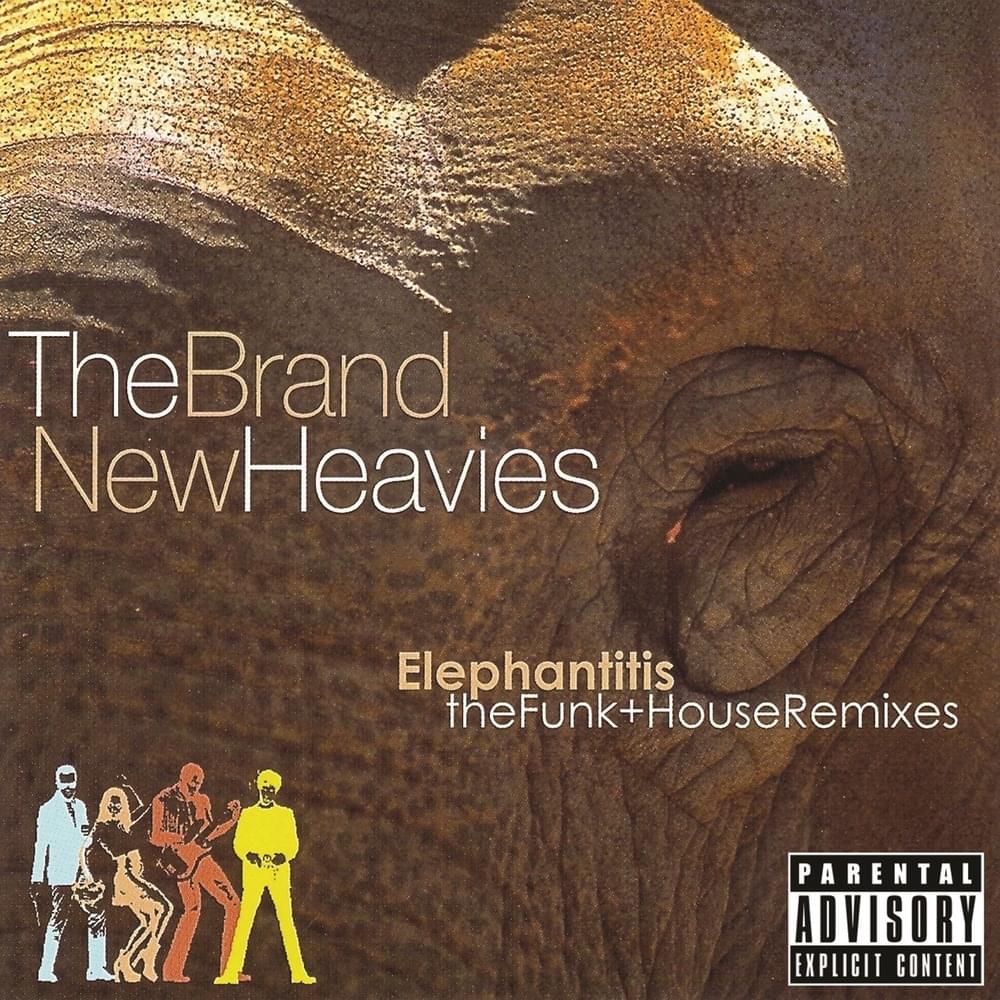 Cover image for Elephantitis: The Funk + House Remixes
