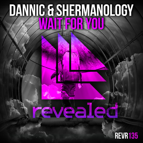Wait For You by Dannic