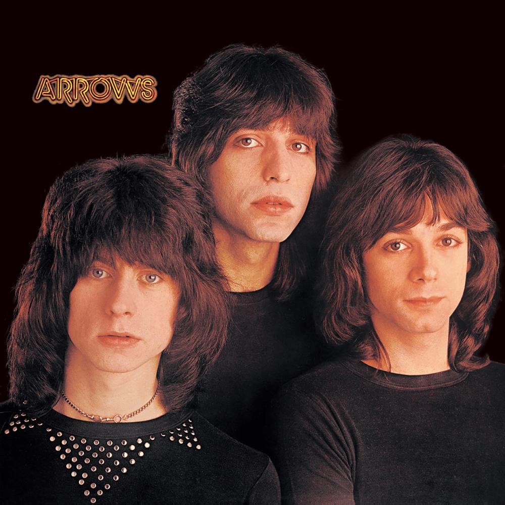 Album cover art for "Touch Too Much" by Arrows