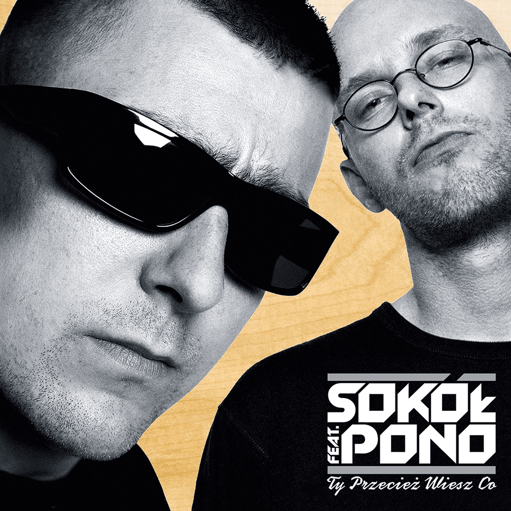 Album cover art for "Poczekalnia dusz" by Sokół & Sylwester Kozera