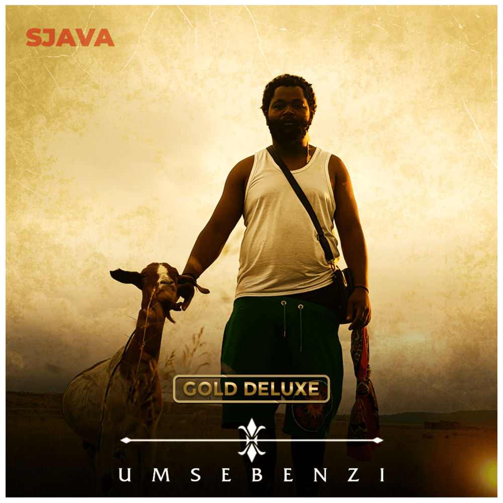 Cover image for Umsebenzi (Gold Deluxe)