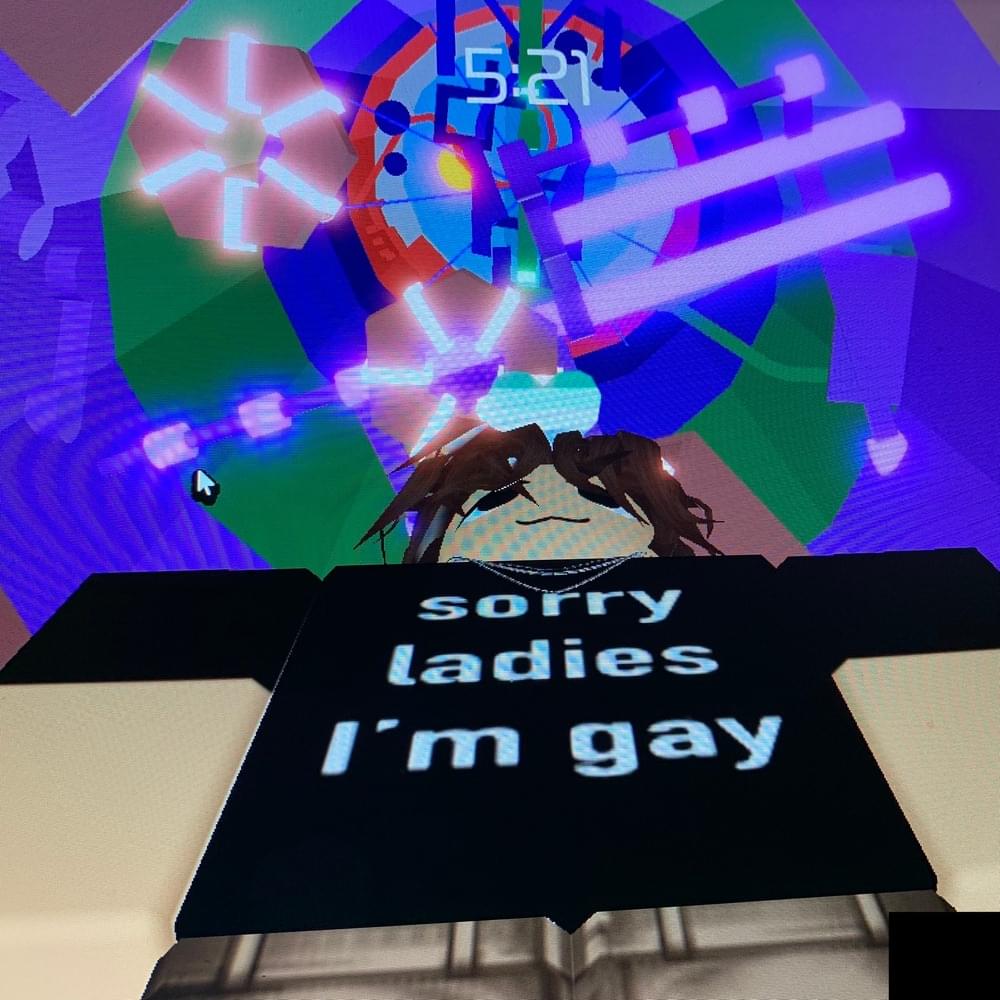 Album cover art for "Sorry ladies i’m gay" by ghostholding