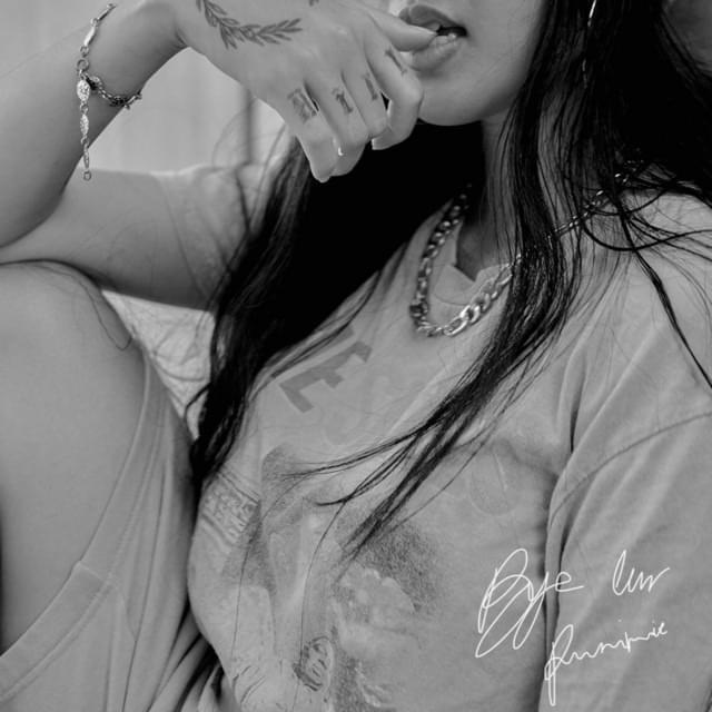 Cover image for Bye Luv.