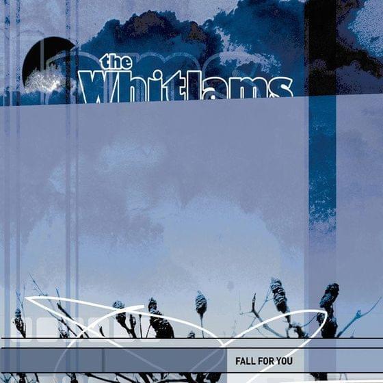 Album cover art for "Fall For You (Perky Mix)" by The Whitlams & Sol Seppy
