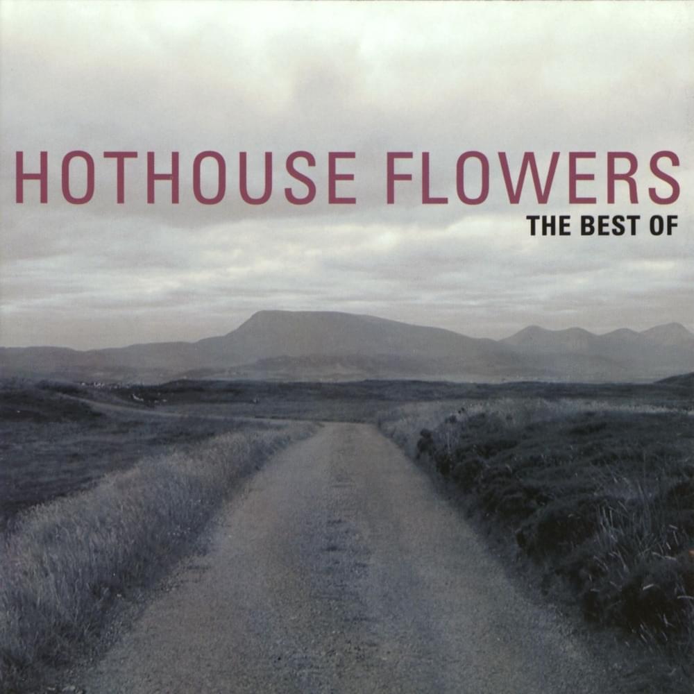 Cover image for The Best of Hothouse Flowers