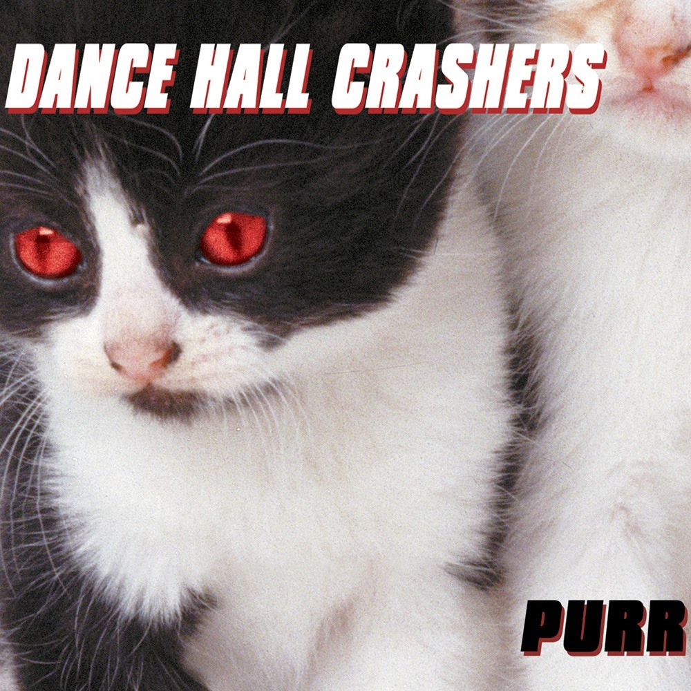 Everything to Lose by Dance Hall Crashers