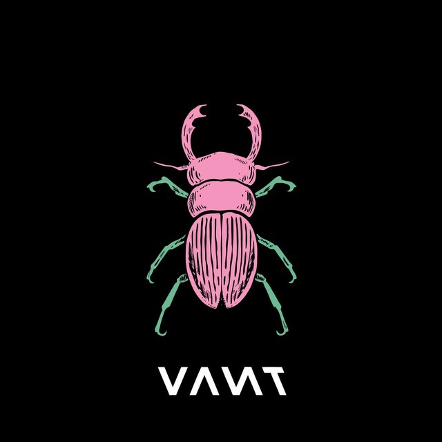 Do You Know Me? by VANT