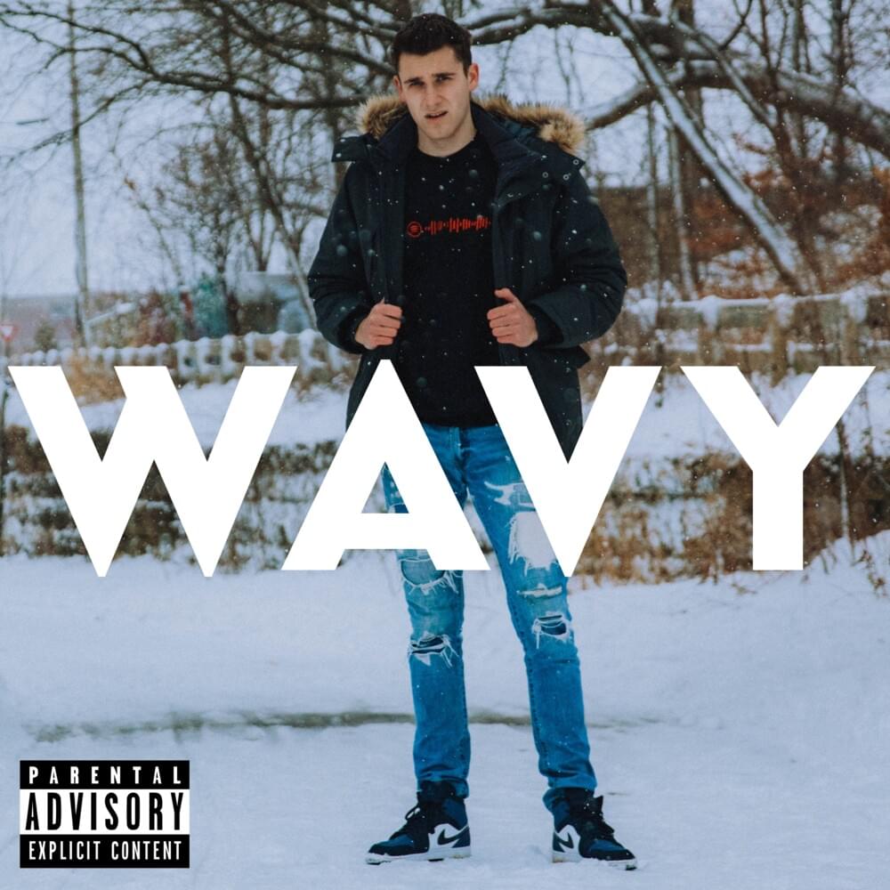 Cover image for Wavy