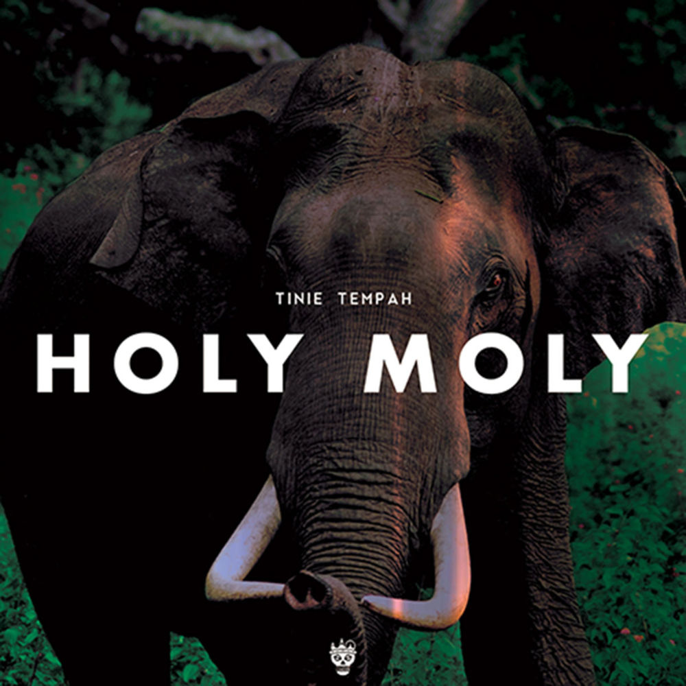 Album cover art for "Holy Moly" by Tinie Tempah